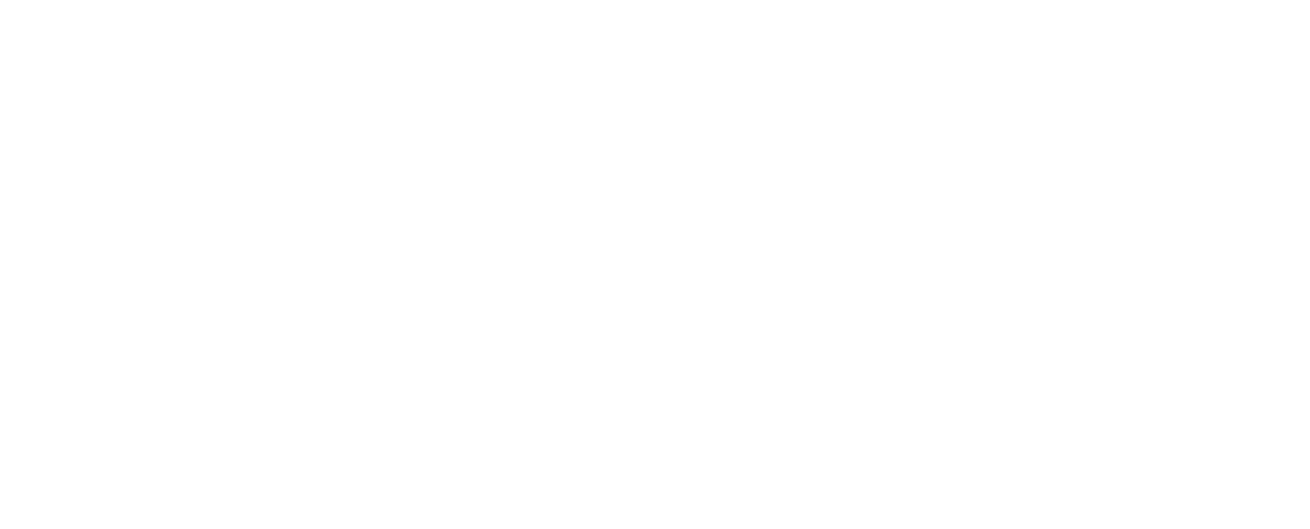 BCR Sport Arena Streetball